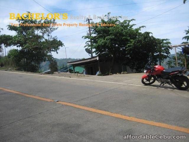 5th picture of 2.2 million 8 hectares Lot for sale in Toledo City Cebu For Sale in Cebu, Philippines