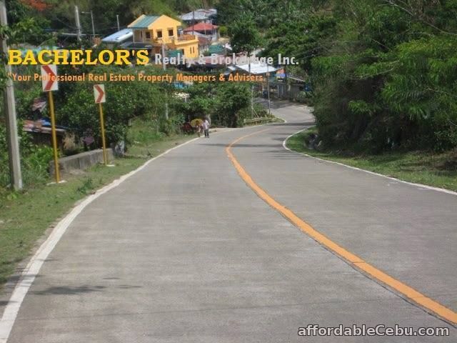 3rd picture of 2.2 million 8 hectares Lot for sale in Toledo City Cebu For Sale in Cebu, Philippines