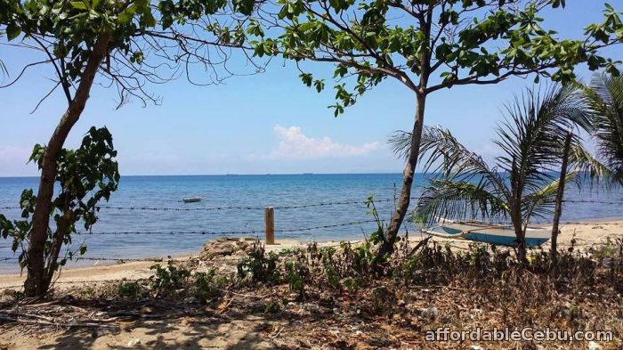 1st picture of Beach Lot in Carmen Cebu For Sale For Sale in Cebu, Philippines