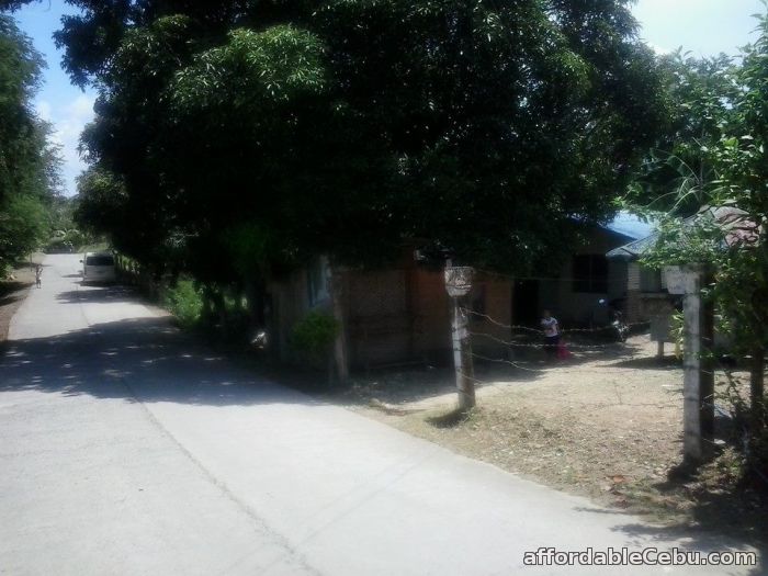 2nd picture of residential lot for sale in carcar city installment for 5years For Sale in Cebu, Philippines
