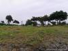 RETIREMENT Lot for Sale in Amara Catarman, Liloan Cebu