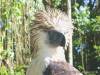 Davao tour packages to Davao Tourist Spots