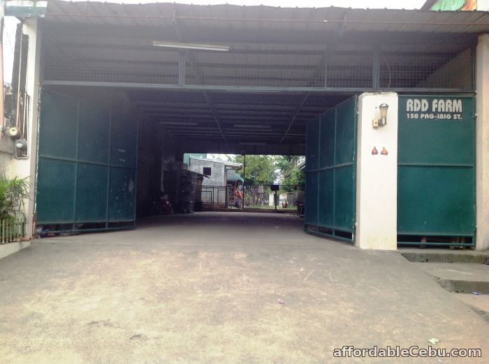 4th picture of house & lot (farm) For Sale in Cebu, Philippines