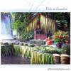 Villa Escudero Day Tour