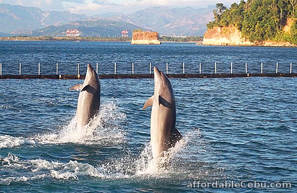 3rd picture of ​Subic tour package, overnight in Zambales, Anawangin package Offer in Cebu, Philippines