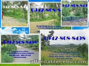 1st picture of 3rd City Drive in Danao City Subdivision lots for sale For Sale in Cebu, Philippines
