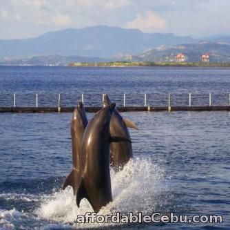 3rd picture of Subic tour package, with dinner or massage, Oct specials Offer in Cebu, Philippines
