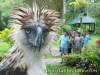 Davao tour packages, stay in Samal island with complete tours