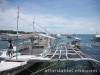 Cebu tour package