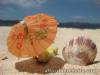 Palawan packages to Puerto Princesa Underground River, El Nido and Coron