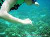 Cebu tour package, with island hopping and lunch