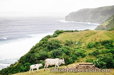 1st picture of Batanes Tour Package, 4 days 3 nights Offer in Cebu, Philippines