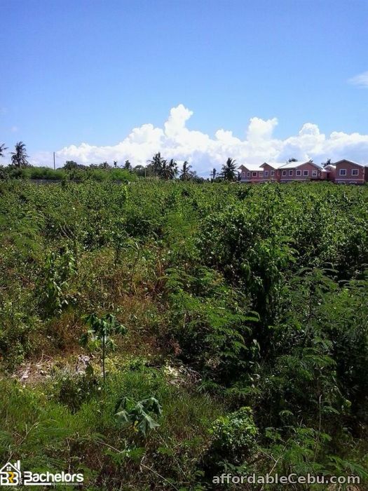 1st picture of LOT FOR SALE For Sale in Cebu, Philippines