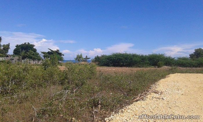 1st picture of Affordable Beach Lot in Cebu For Sale in Cebu, Philippines