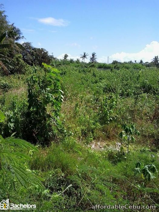 3rd picture of LOT FOR SALE For Sale in Cebu, Philippines