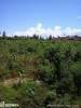LOT FOR SALE