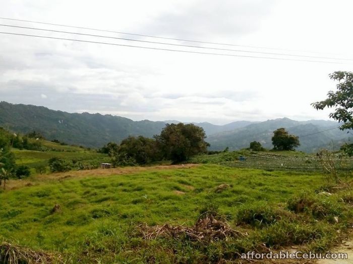 3rd picture of Affordabe lot only for sale in sibugay, cebu city For Sale in Cebu, Philippines