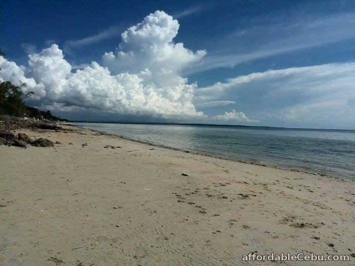 5th picture of beach lot for sale in medellin For Sale in Cebu, Philippines