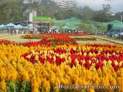 1st picture of Baguio Tour Package, Ridgewood Residences Offer in Cebu, Philippines