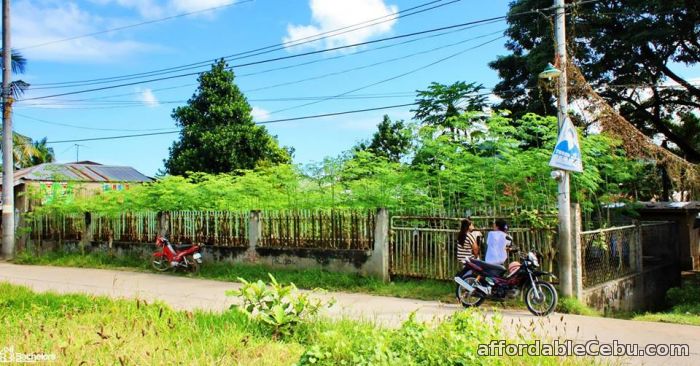 1st picture of FOR SALE : RESIDENTIAL LOT For Sale in Cebu, Philippines