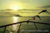 Manila Bay Dinner Cruise, Dec specials P349