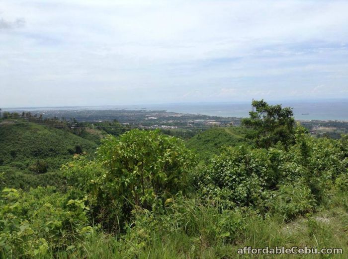 3rd picture of 60 sqm Lot Only in Tunghaan Minglanilla 5500 per sqm For Sale in Cebu, Philippines