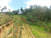 Property for Sale in Lahug, Cebu