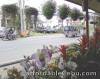 Half day Tagaytay sightseeing tour, stay for 2 nights at Sunrise Holiday Mansion
