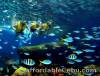 Singapore tour package, with Adventure Cove Water Park and Legoland Malaysia