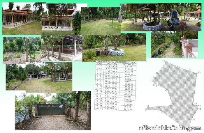1st picture of Farm Lot & House for Sale For Sale in Cebu, Philippines