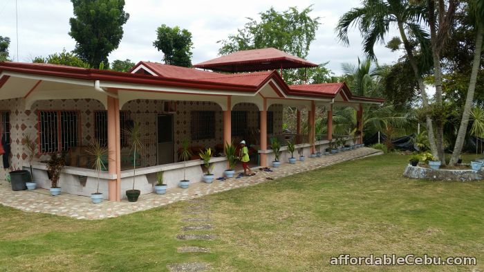 2nd picture of Farm Lot & House for Sale For Sale in Cebu, Philippines