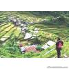 4D3N Beautiful Banaue Tour for 2 or 4