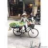 Vietnam tour, to its Capital, Hanoi