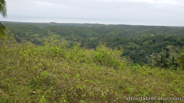 1st picture of Farm Land in Compostela For Sale in Cebu, Philippines