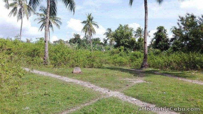 4th picture of lot for sale in minglanilla cebu For Sale in Cebu, Philippines