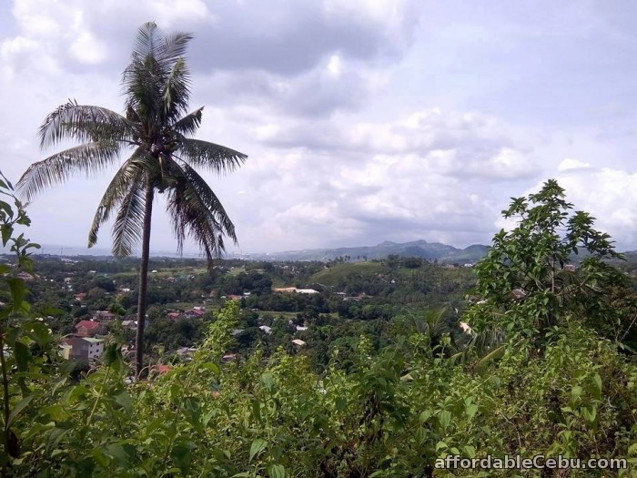 3rd picture of lot for sale in minglanilla cebu For Sale in Cebu, Philippines