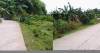 lot for sale at Villa Lolita 2 Sub in Cubacub Mandaue City