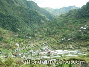 1st picture of Awesome 4D3N Banaue Tour Looking For in Cebu, Philippines