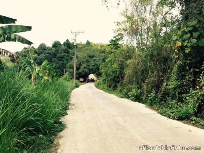 4th picture of Lot For Sale in Mabini Talamban, Cebu City For Sale in Cebu, Philippines