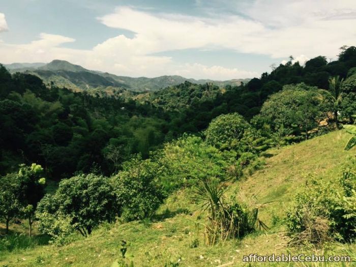 5th picture of Lot For Sale in Mabini Talamban, Cebu City For Sale in Cebu, Philippines