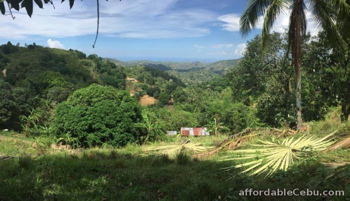 2nd picture of Lot For Sale in Mabini Talamban, Cebu City For Sale in Cebu, Philippines