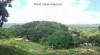 Lot For Sale in Mabini Talamban, Cebu City