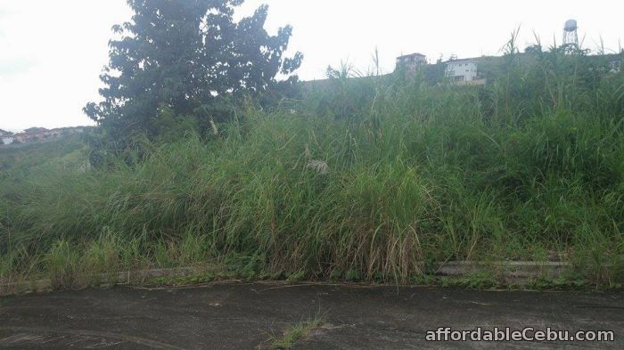 3rd picture of lot for sale at Pacific Heights Barangay Candulawan , Bulacao, Talisay City, Cebu For Sale in Cebu, Philippines