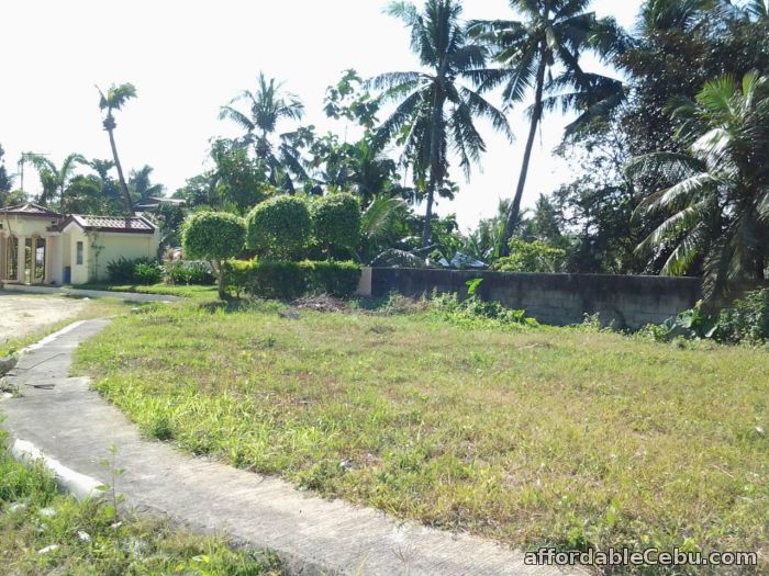 2nd picture of El Monte Grande Heights Lot Only For Sale in Cebu, Philippines