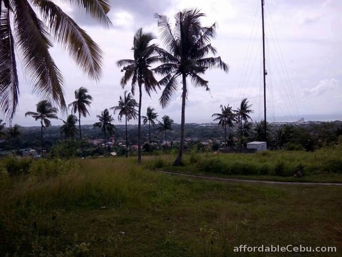 2nd picture of Paseo DeLino Pakigne, Minglanilla, Cebu For Sale in Cebu, Philippines