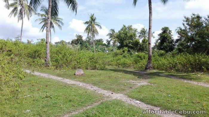 3rd picture of Paseo DeLino Pakigne, Minglanilla, Cebu For Sale in Cebu, Philippines