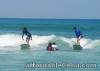 Surfing, Baler Tour Package