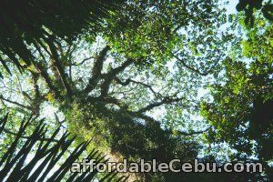 1st picture of Hot and cold springs, Hidden Valley Springs Laguna Offer in Cebu, Philippines