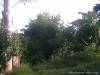 lot for sale in Catarman