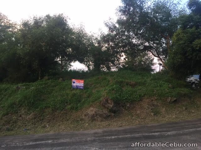 3rd picture of AYALA GREENFIELD ESTATES CORNER LOT for Sale For Sale in Cebu, Philippines